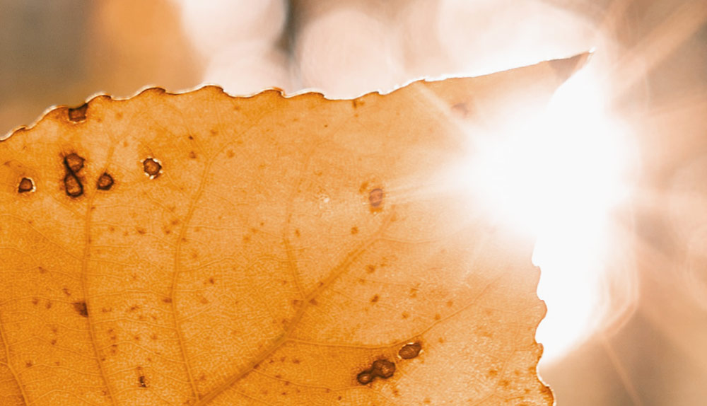 hyperpigmentation sun exposure