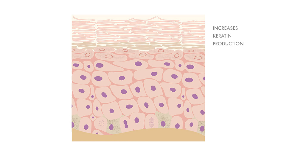 Skin hardening sun