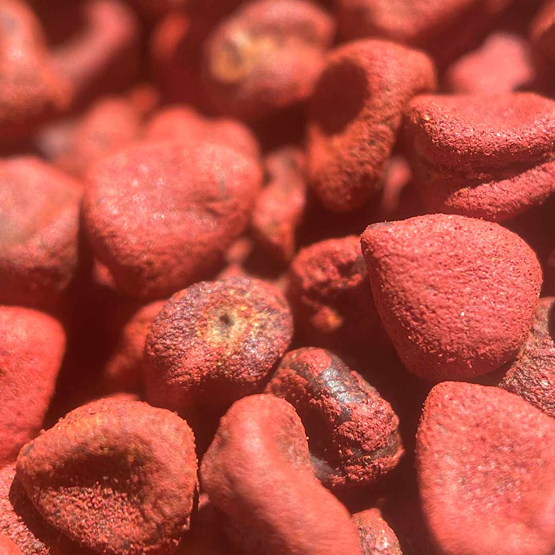 pigmentos carotenoides