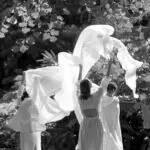 Colaboradores de LE PURE