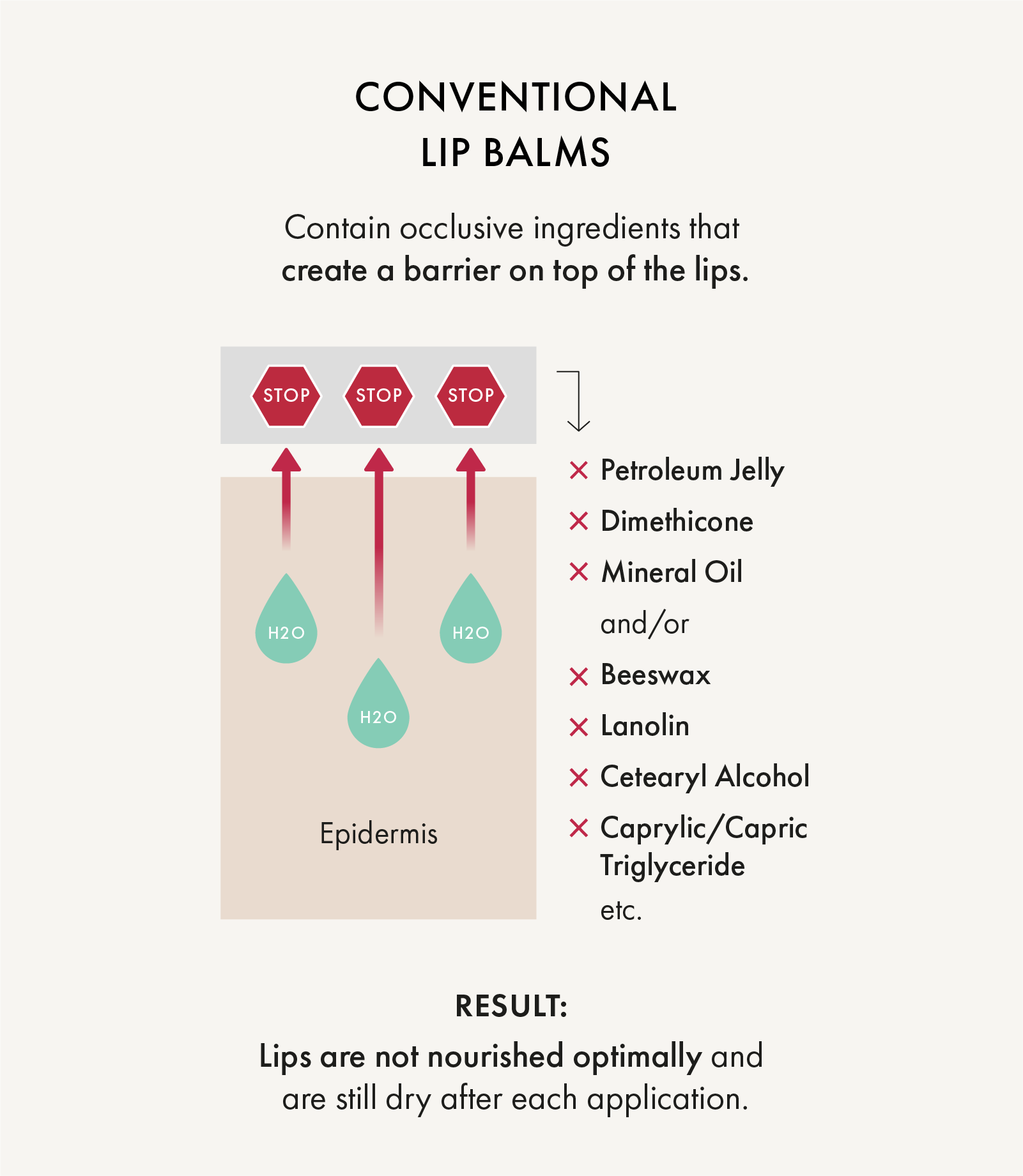 Comparison of Conventional and Organic Lip Balms