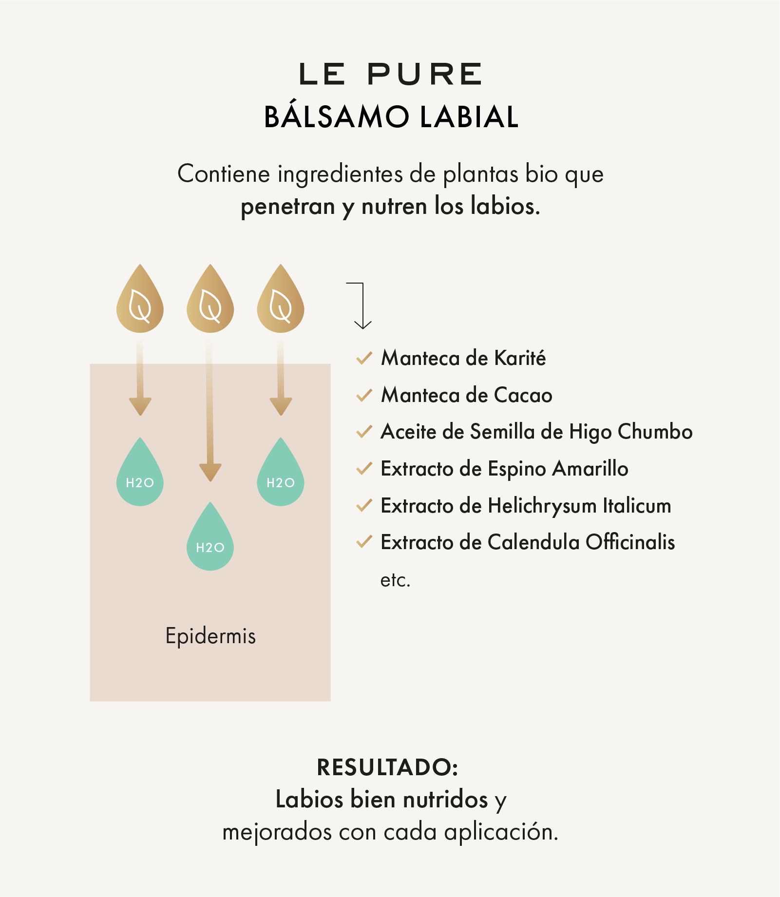 Nutrición LE PURE