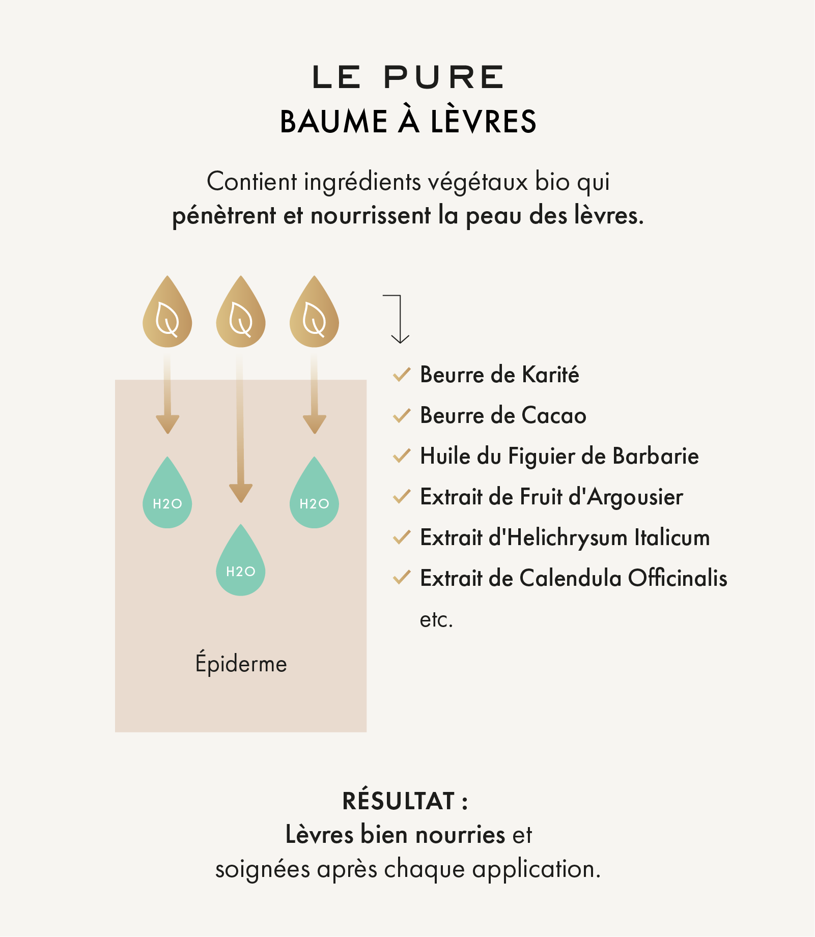 Nutrition LE PURE