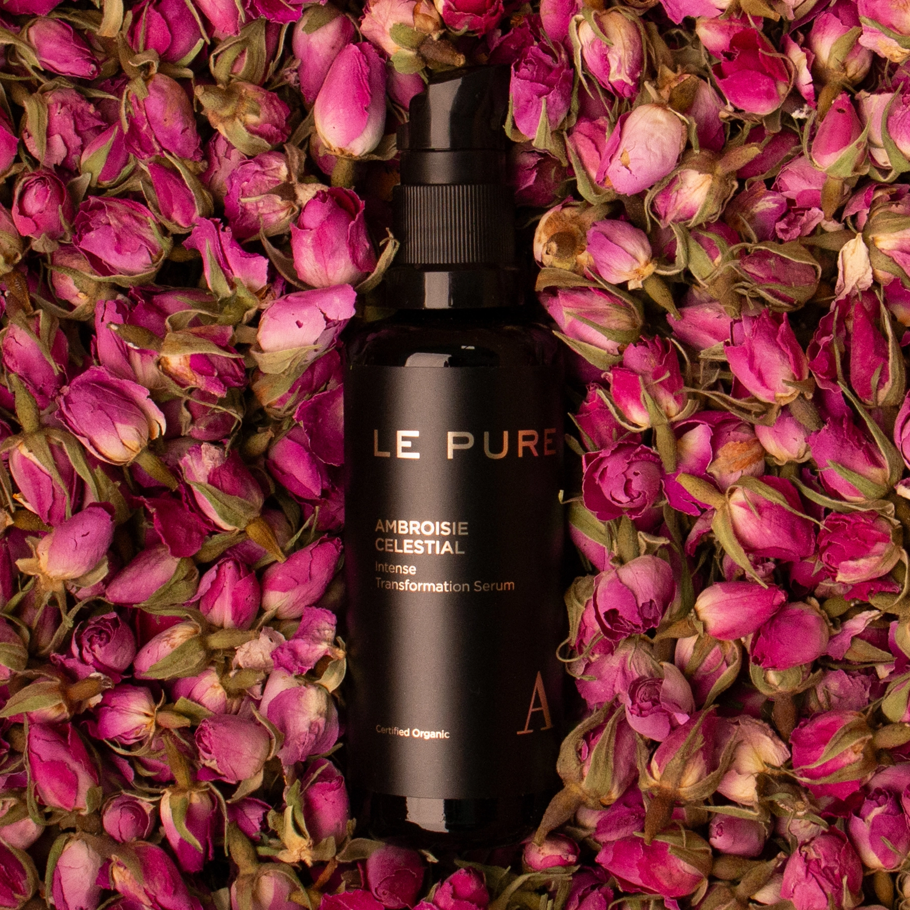 Ambroisie Celestial serum LE PURE