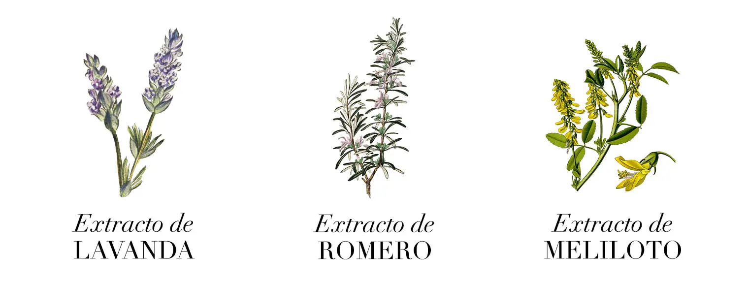 Plantas aceites corporales