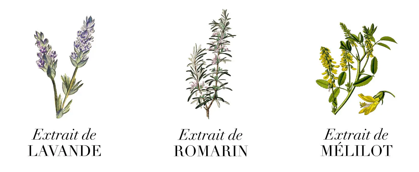 Plantes huiles pour le corps