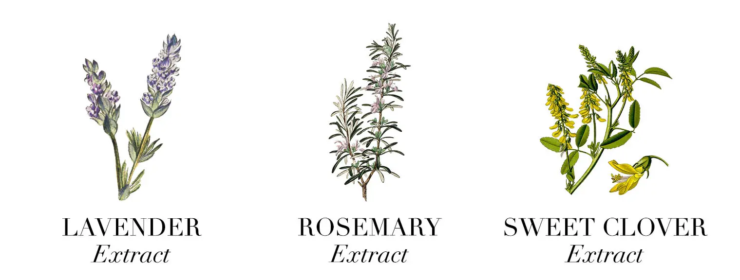 Plants body oil