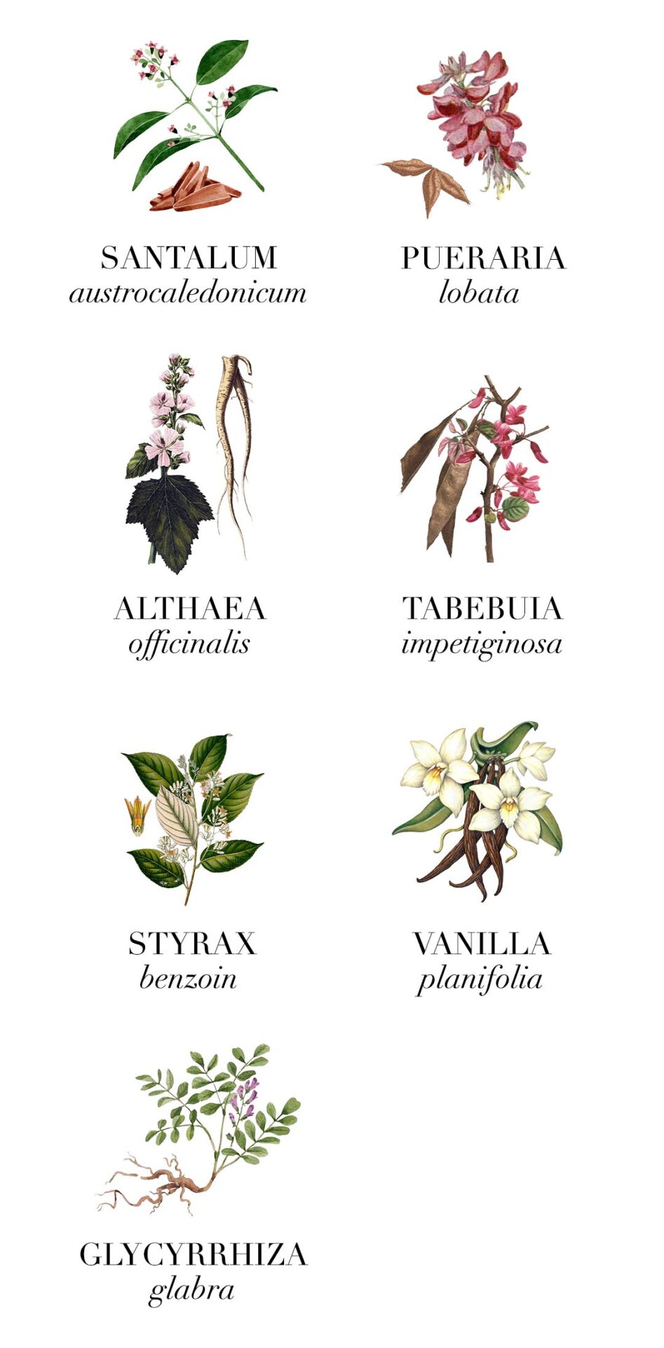 Inhaltsstoffe Silk ResurrectionLE PURE