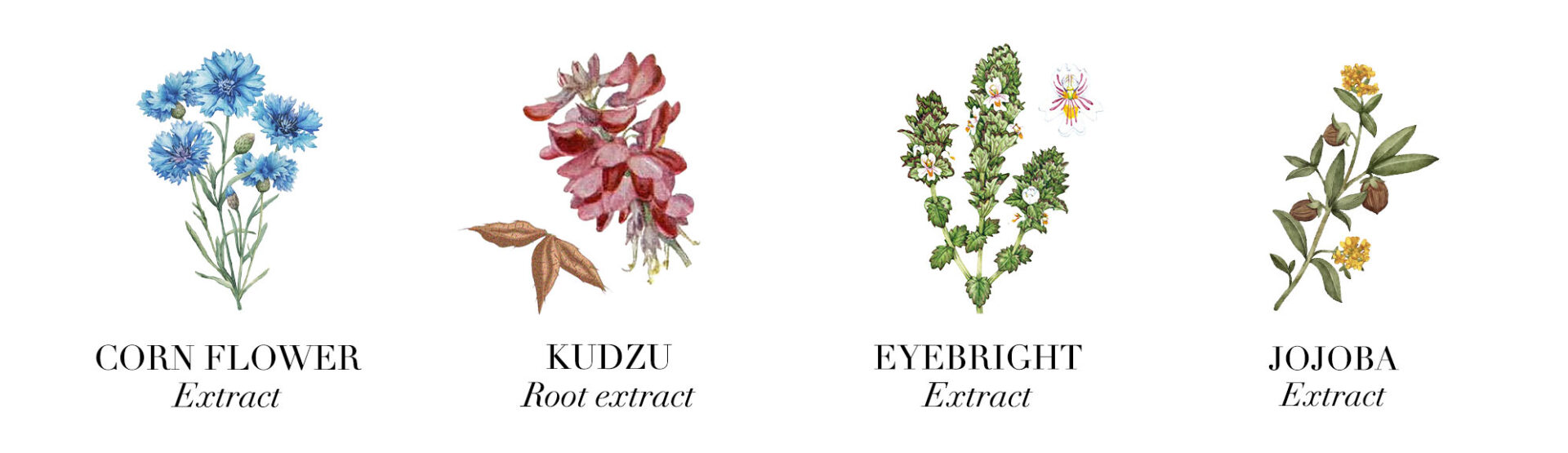 Medicinal plants for dark circles